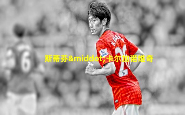 斯蒂芬·卡尔加诺维奇