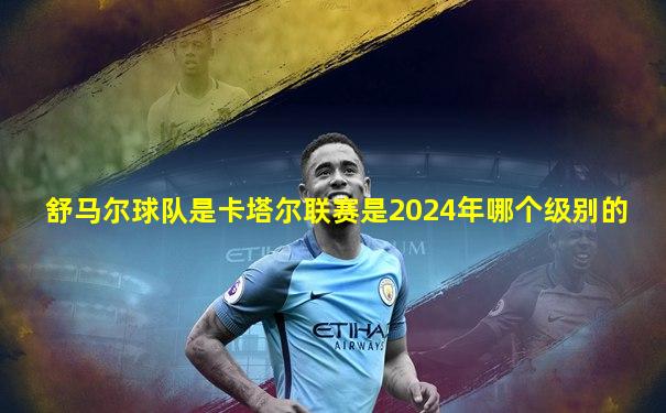 舒马尔球队是卡塔尔联赛是2024年哪个级别的