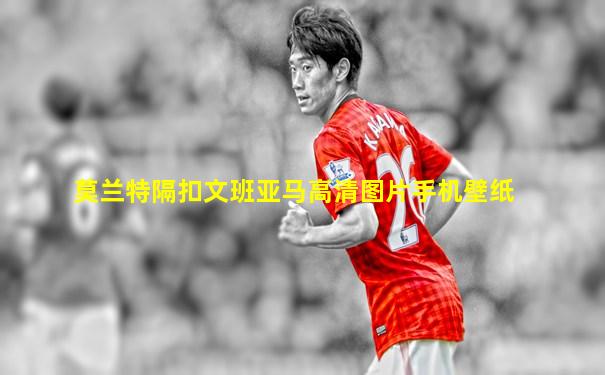 莫兰特隔扣文班亚马高清图片手机壁纸
